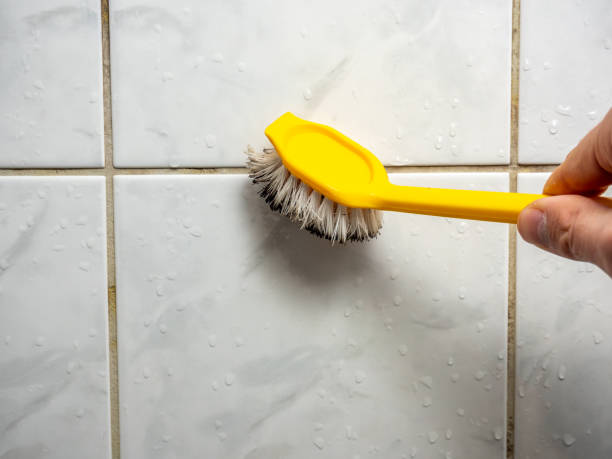 Best Water Damage Restoration  in Salem, NC