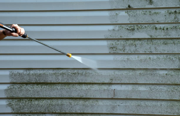 Best Commercial Mold Removal  in Salem, NC