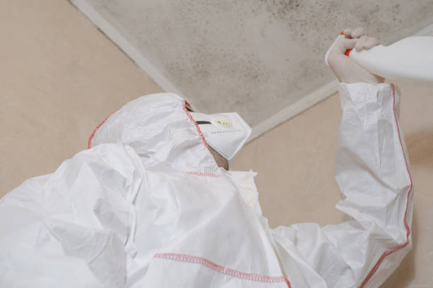 Best Professional Mold Removal  in Salem, NC